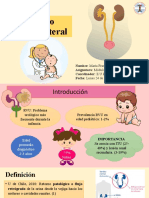 Reflujo Vesicoureteral PEDIATRÍA 2021