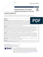 Optical Tissue Measurements of Invasive Carcinoma and Ductal Carcinoma in Situ For Surgical Guidance