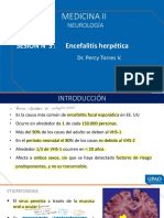 Mehu131 U1 T5 Enceflitis-Herpetica