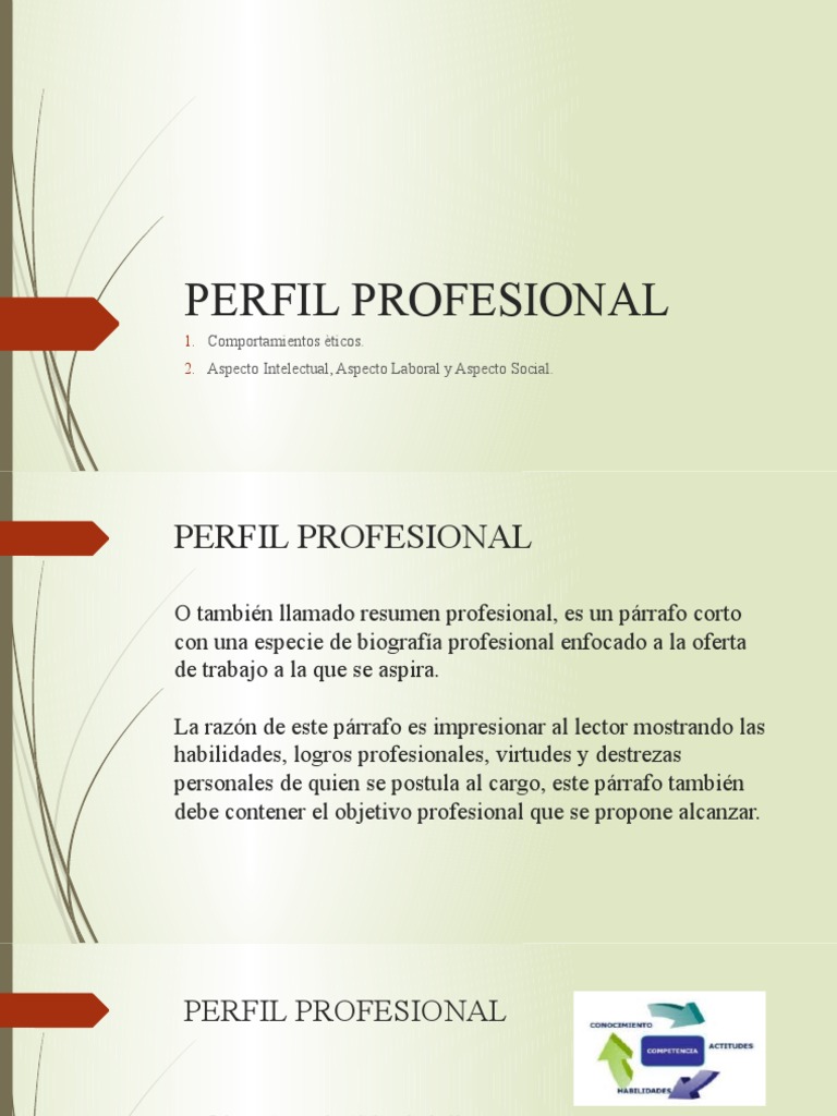 Perfil Profesional | PDF | Crecimiento personal y profesional