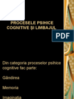 procesele_psihice_cognitive_si_limbajul (1)
