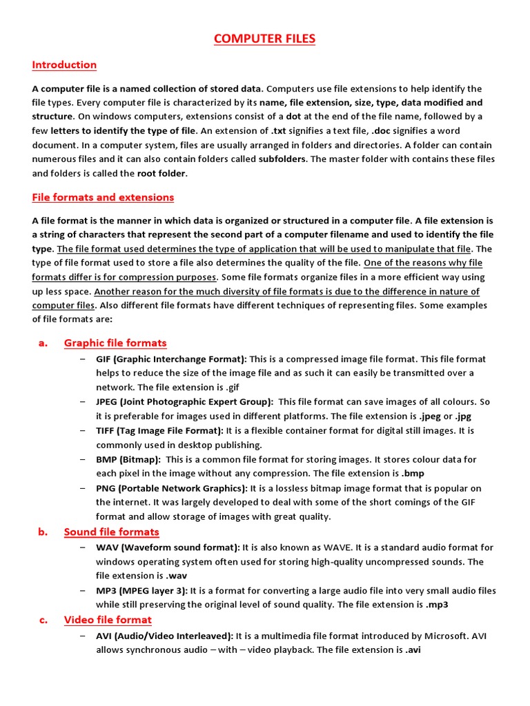 Computer Files | PDF | Computer File | File Format