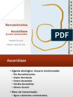 Aula 8 - Ascaridíase