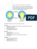 Ektoderm Mesoderm Endoderm