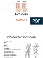 LORDOZA - Seminar 4