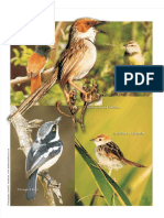 Sanbi-Biodiversity-Series-Bird-Checklist 10