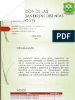 Aplicación de Las Derivadas en Las Distintas Profesiones-Alania Duran Tania Luz