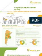 Informe AmplificAgro (Mayo 2021) - Adelanto Tema Carne