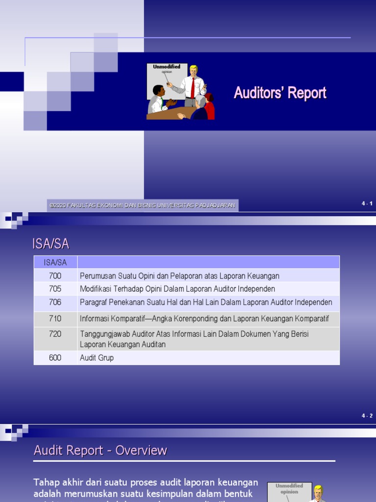 AUdit246742REpOrts | PDF