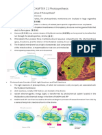 CHAPTER 21 Photosynthesis