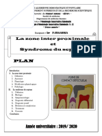13 La Zone Inter Proximale Et Syndrôme Du Septum DR CHAABNIA