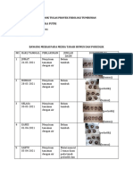 Logbook Tugas Proyek Fisiologi Tumbuhan