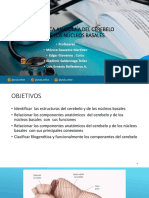 Práctica-Anatomía de Cerebelo y Núcleos Basales SFGC-2021-1