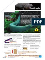 Electric Eels: Fact Sheet