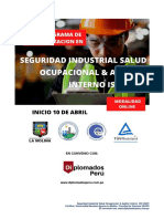 Seguridad Industrial Salud Ocupacional Auditor Interno 10 04 2021