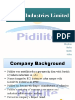 Project On Pidilite