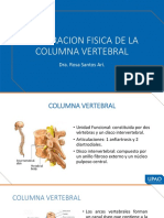 Exploración Física de la Columna Lumbar | PDF | La columna vertebral ...