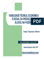 Viabilidade Tecnica- Economica e Social da Producao de Alcool na Fazenda