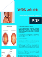 La estructura y función del ojo humano