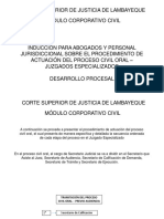 Inducción Procesal Civil Oral