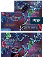 Infografia Biologia