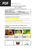 Evaluación de Ciencias Naturales. El Sonido Cuarto Básico