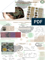 ...... Metabolitos Secundarios en Trichoderma Spp. y Sus Aplicaciones