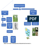 Clasificación de Los Microorganismos Según La Fuente de Energía y Carbono Que Utilizan