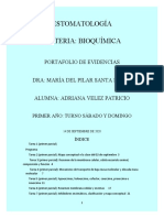 Portafolio de Evidencias