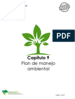 12. EIA_Cap09_Plan de Manejo Ambiental
