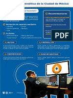 Infografia Policiacibernetica-01