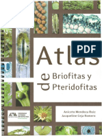 7 Atlas Briofitas-Pteridofitas UAM