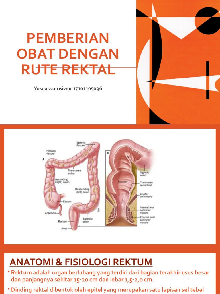 Rektal | PDF