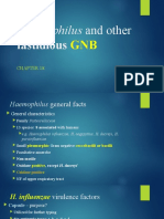 CH 18 Haemophilus and Other Fastidious GNB
