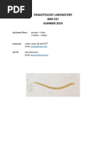 Microscopic Observation of Parasites | PDF | Microscopy | Microbiology