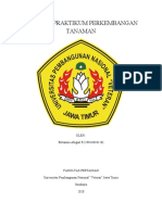 Laporan Praktikum Perkembangan Tanaman Tannia