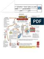 Mapa Mental Do Sistema Imunológico