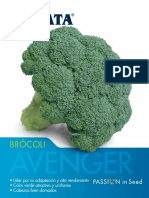 Brocoli Avenger