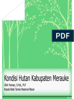 Econusa-Kondisi Hutan Kabupaten Merauke-Yarman