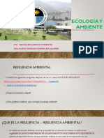 S4 Resiliencia Ambiental