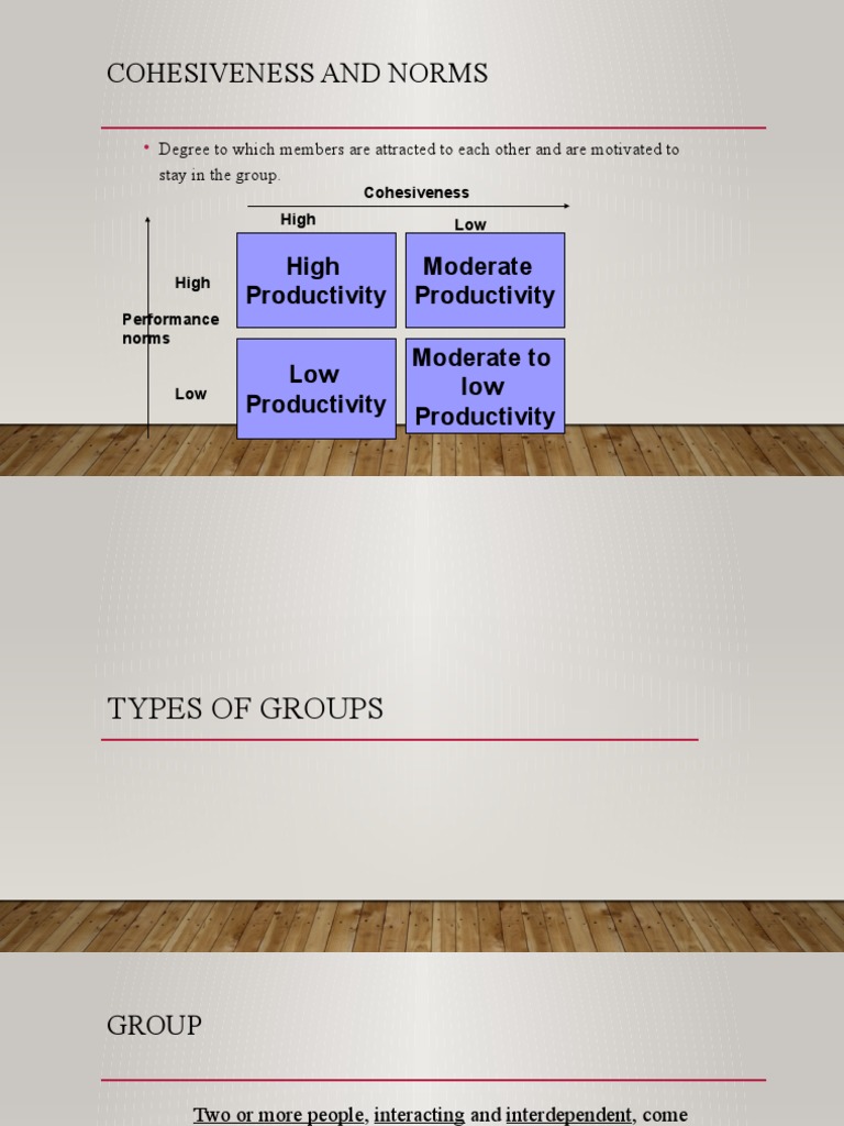 Group Cohesiveness and Productivity Dynamics | PDF | Behavior | Human ...
