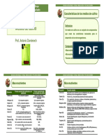 Cultivos in Vitro Micropropagacion Vegetal