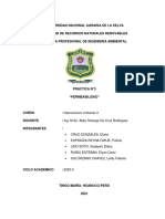 Practica N°3 - Permeabilidad - Grupo 4 - Ope Ii