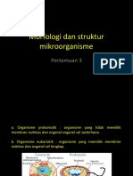 Mikrobiologi Dasar-2