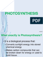 Photosynthesis 2020 PDF Lecture