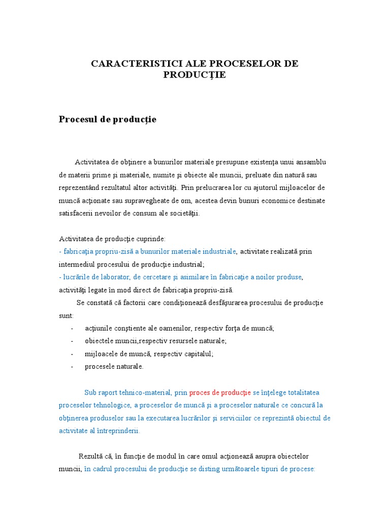 Procesul de Productie | PDF