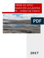 360901631 354808507 Informe de Sitios Contaminados Laguna Yanamate