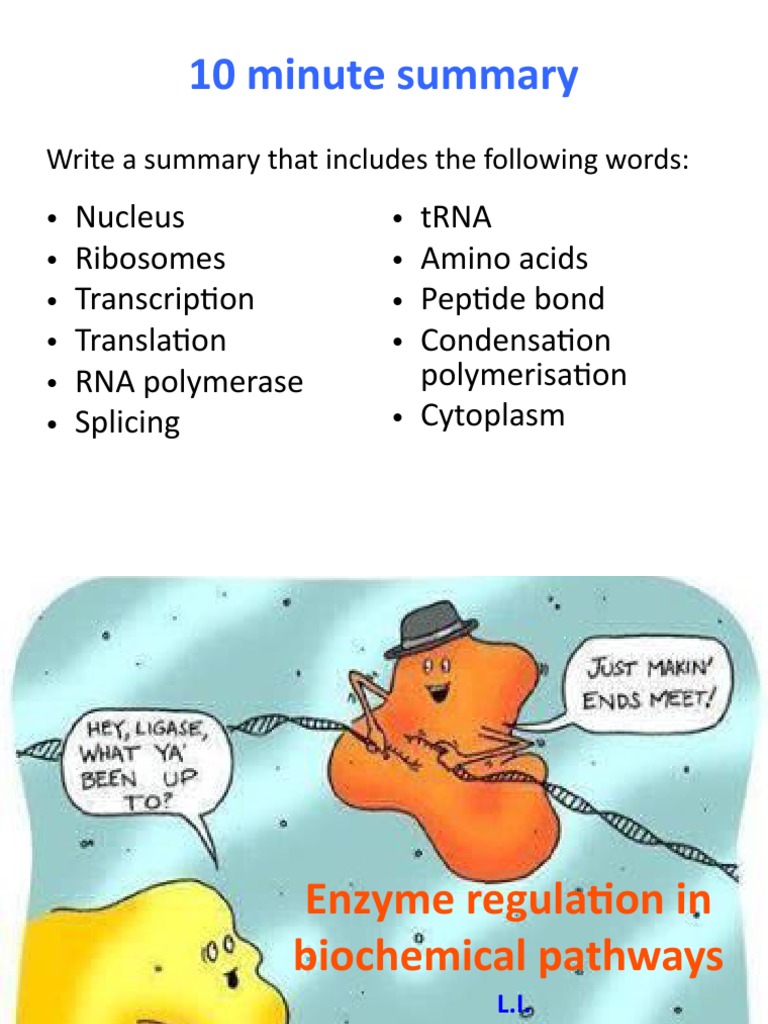 1 Enzyme Regulation in Biochemical Pathways PDF Enzyme Cofactor (Biochemistry)