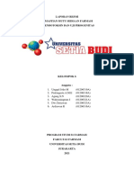 LAPORAN RESMI UJI ENDOTOKSIN DAN UJI PIROGENITAS Kel 6