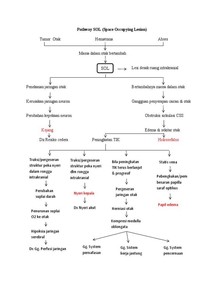 Pathway Lesi Ruang Otak | PDF